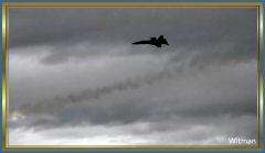 BlueAngel31018 (100).jpg